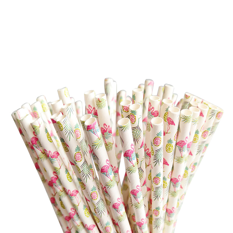 Hawaiian Disposable Eco-Friendly Straight Paper Straws