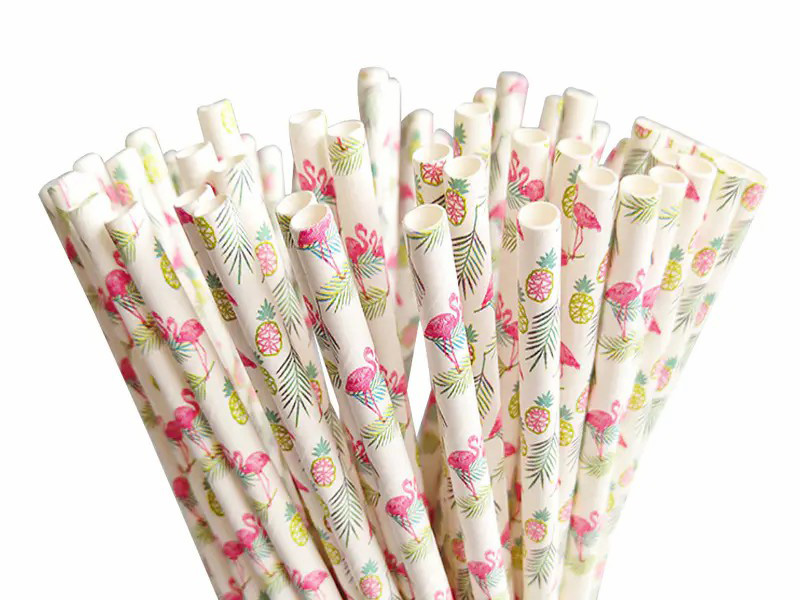 Disposable Eco-Friendly Straight Paper Straws